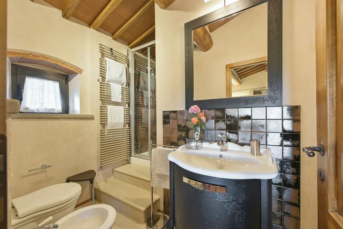 Image No.26-Ferme de 3 chambres à vendre à Gaiole in Chianti