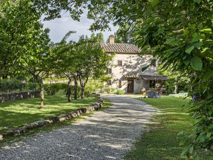 Image No.6-Ferme de 7 chambres à vendre à Gaiole in Chianti