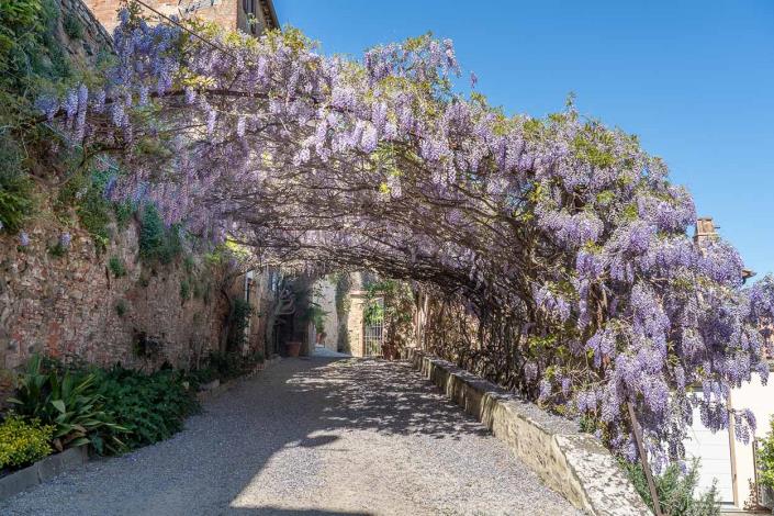 Image No.3-3 Bed Apartment for sale