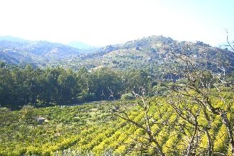 Image No.12-6 Bed Property for sale