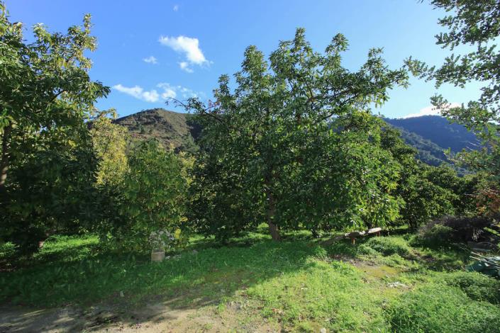 Image No.27-1 Bed Farmhouse for sale