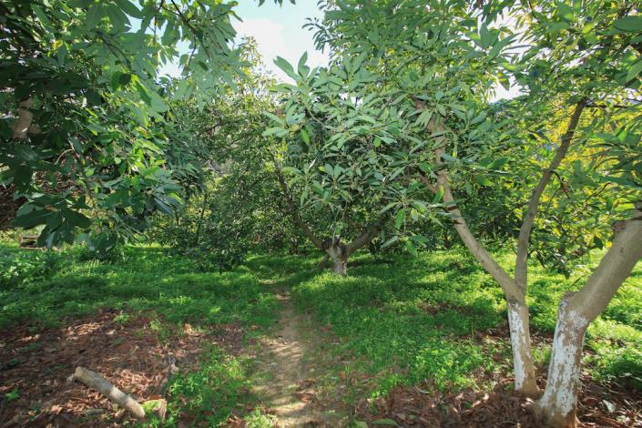 Image No.29-1 Bed Farmhouse for sale