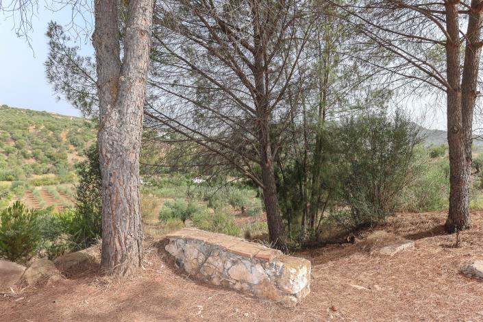 Image No.59-Un hôtel de 14 chambres à vendre à Guaro