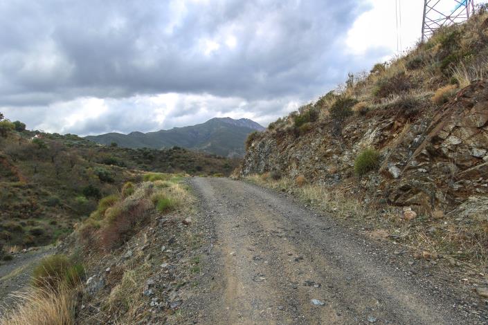 Image No.2-Terre à vendre à Monda