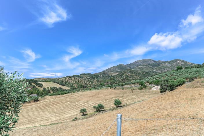 Image No.5-2 Bed Villa / Detached for sale