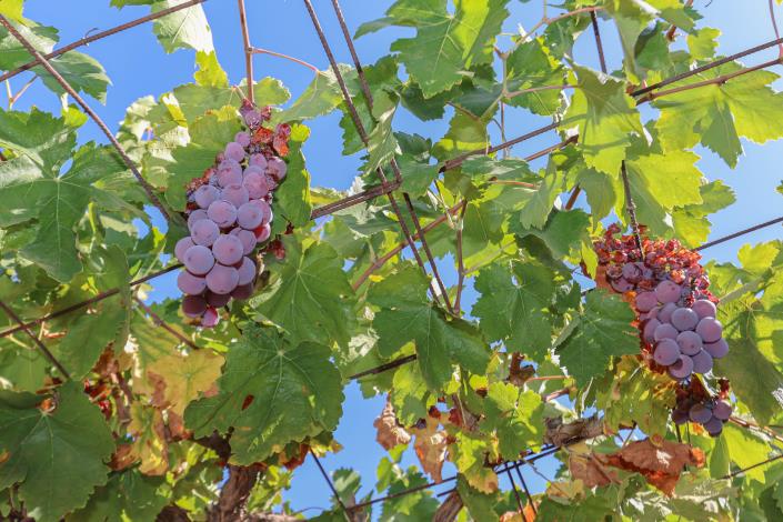 Image No.35-4 Bed Villa / Detached for sale