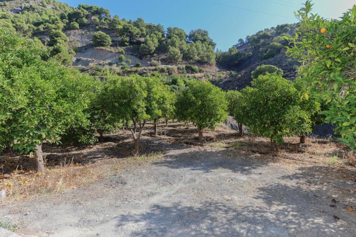 Image No.31-Villa / Détaché de 3 chambres à vendre à Alozaina