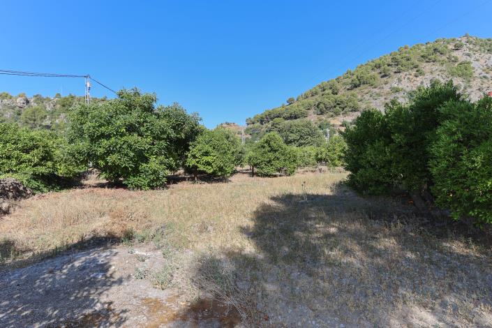 Image No.32-Villa / Détaché de 3 chambres à vendre à Alozaina