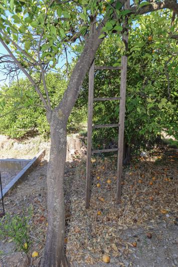 Image No.37-Villa / Détaché de 3 chambres à vendre à Alozaina