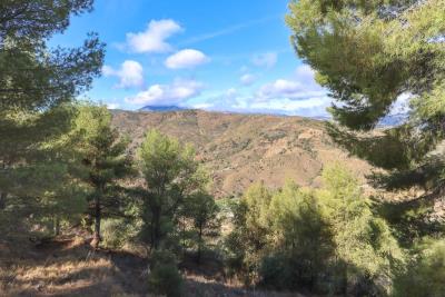 1-7980e48d732b6fc85c14b43b94d2aa54