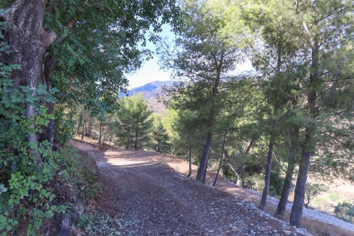 Image No.3-Terre à vendre à Guaro