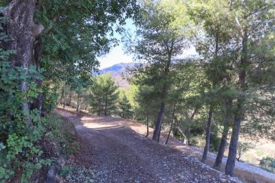 3-e898b2bb2a2fdfd06d2c39894dce8316