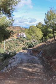 5-3595ad71cbd87be6c3643a4285ef4791