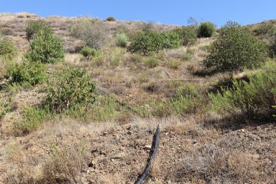 6-241328e1bcc9c0d8ce1222beb6c967a8