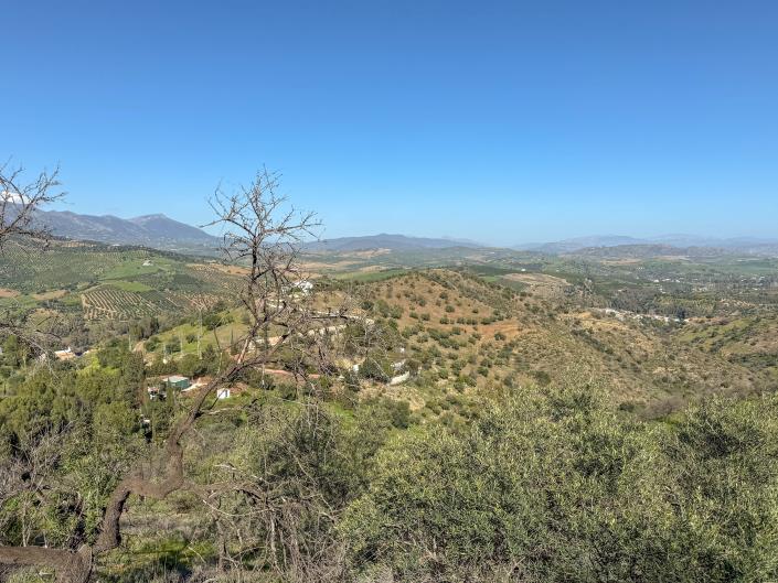 Image No.30-Villa / Détaché de 2 chambres à vendre à Guaro