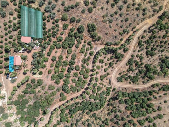 Image No.3-Ferme de 1 chambre à vendre à Monda