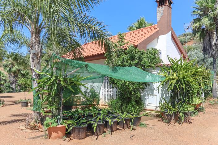 Image No.8-Ferme de 1 chambre à vendre à Monda