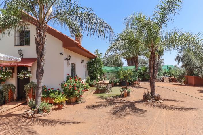 Image No.9-Ferme de 1 chambre à vendre à Monda