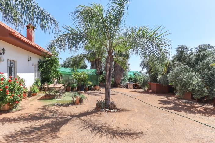 Image No.19-Ferme de 1 chambre à vendre à Monda