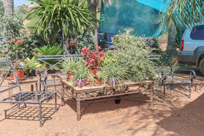 Image No.21-Ferme de 1 chambre à vendre à Monda