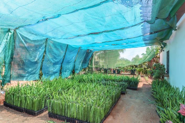 Image No.26-Ferme de 1 chambre à vendre à Monda