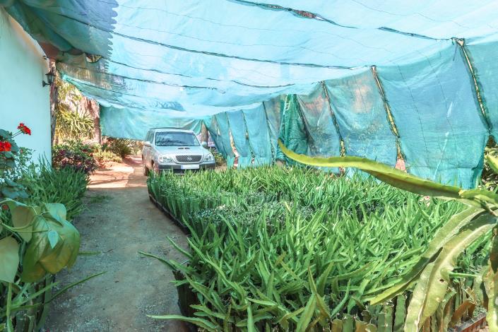 Image No.27-Ferme de 1 chambre à vendre à Monda