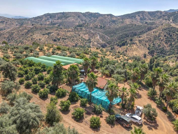 Image No.29-Ferme de 1 chambre à vendre à Monda