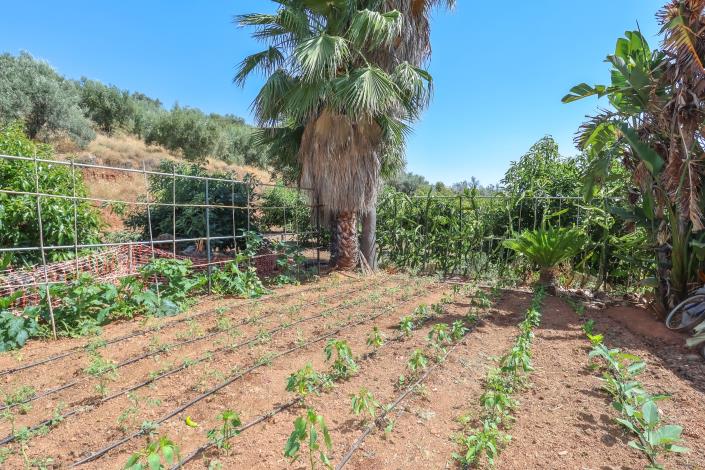Image No.28-Ferme de 1 chambre à vendre à Monda