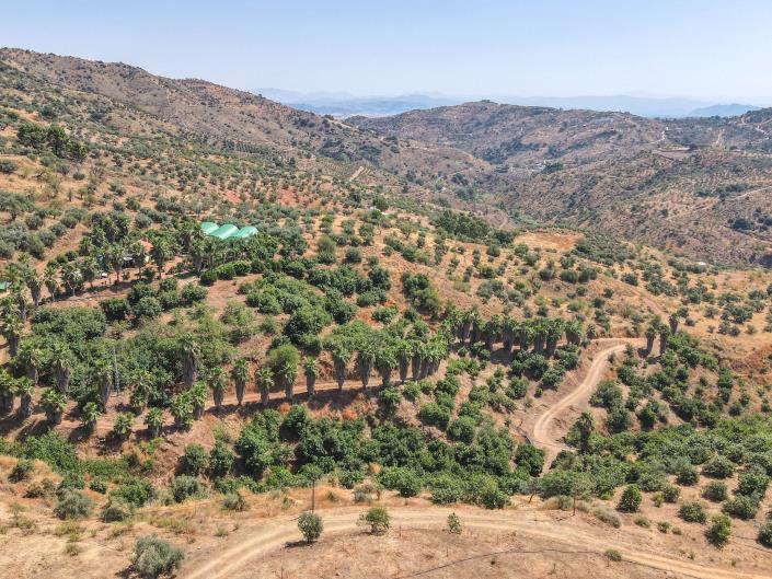 Image No.30-Ferme de 1 chambre à vendre à Monda