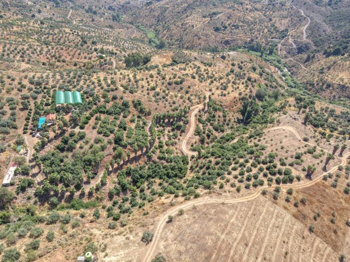 Image No.31-Ferme de 1 chambre à vendre à Monda