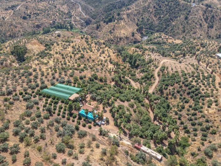 Image No.32-Ferme de 1 chambre à vendre à Monda