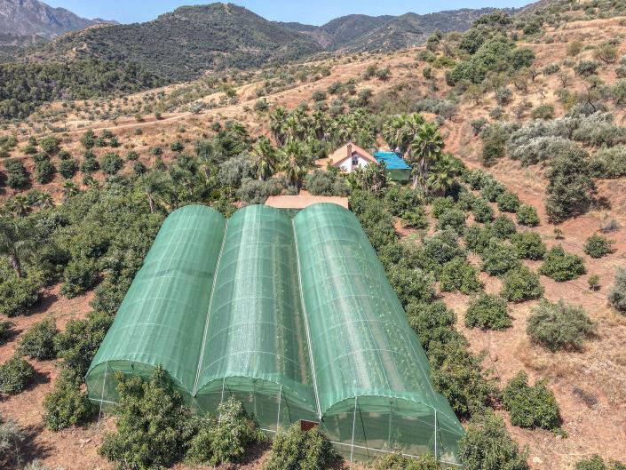 Image No.33-Ferme de 1 chambre à vendre à Monda