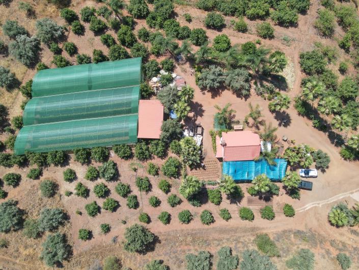 Image No.34-Ferme de 1 chambre à vendre à Monda