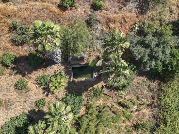 Image No.35-Ferme de 1 chambre à vendre à Monda