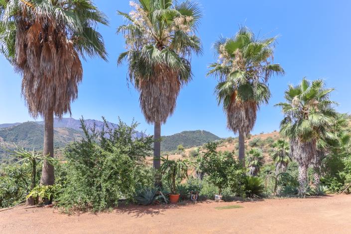 Image No.39-Ferme de 1 chambre à vendre à Monda