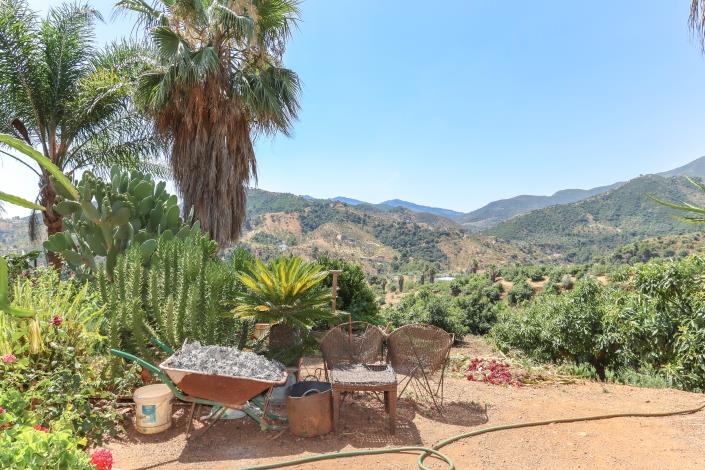 Image No.40-Ferme de 1 chambre à vendre à Monda