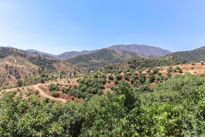 Image No.50-Ferme de 1 chambre à vendre à Monda