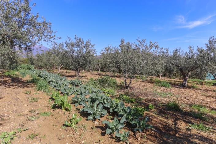 Image No.48-4 Bed Villa / Detached for sale