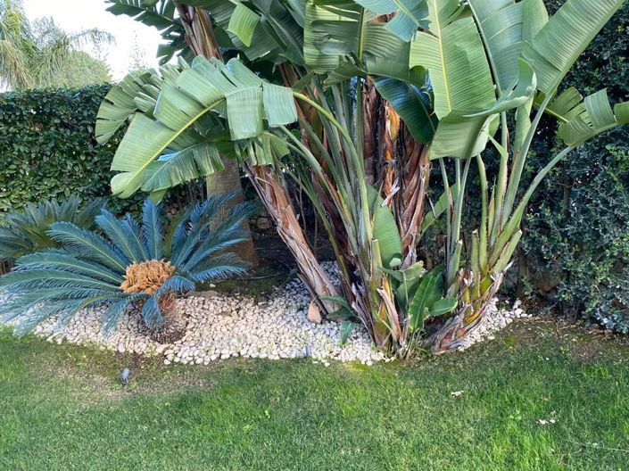 Image No.17-Villa de 3 chambres à vendre à Castellammare del Golfo