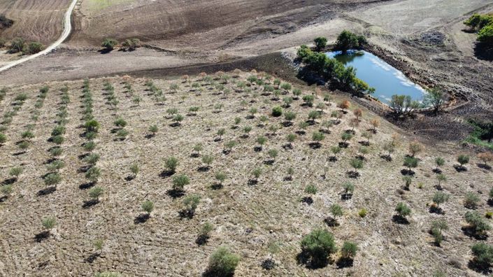 Image No.24-3 Bed Villa for sale