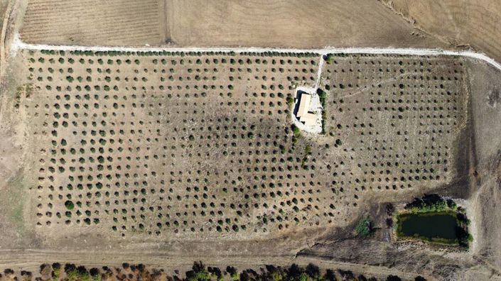 Image No.28-3 Bed Villa for sale