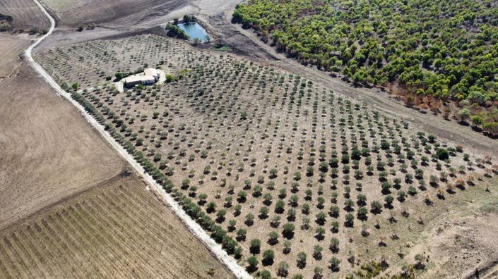 Image No.29-3 Bed Villa for sale