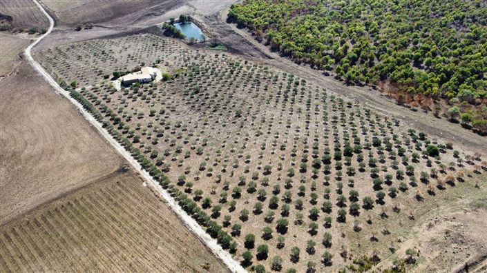 Image No.28-3 Bed Villa for sale