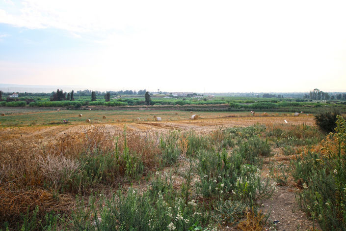 Image No.37-Maison de 8 chambres à vendre à Siracusa