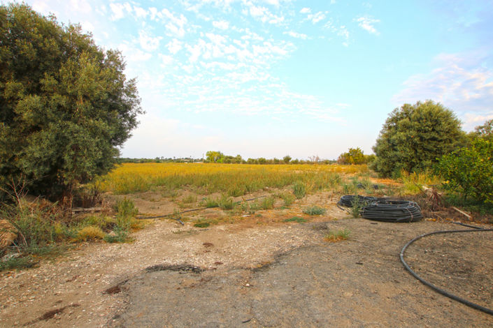 Image No.40-Maison de 8 chambres à vendre à Siracusa