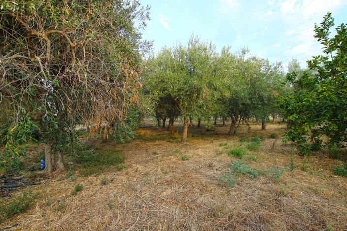 Image No.41-Maison de 8 chambres à vendre à Siracusa