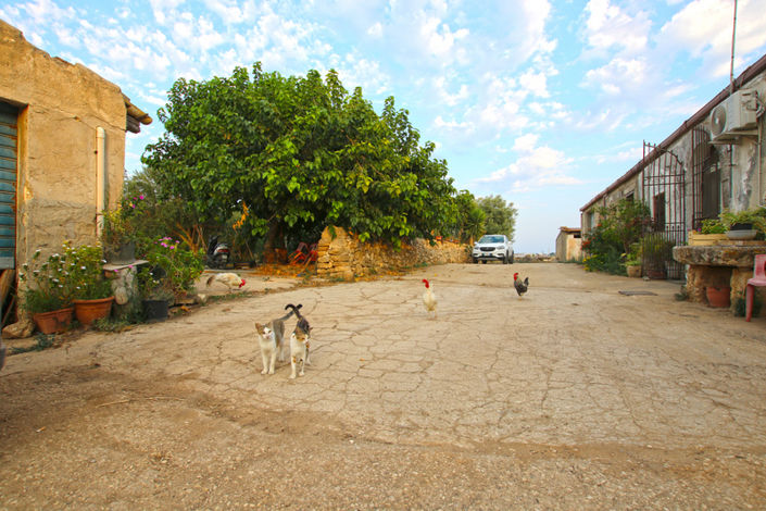 Image No.47-Maison de 8 chambres à vendre à Siracusa