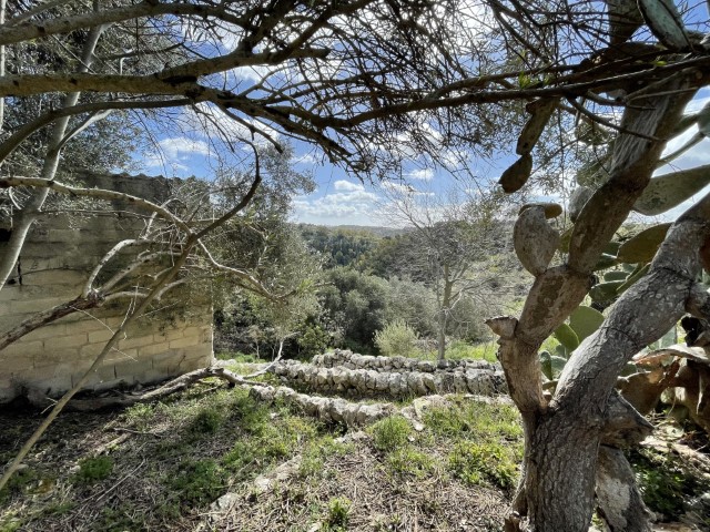 Image No.10-Propriété à vendre à Modica