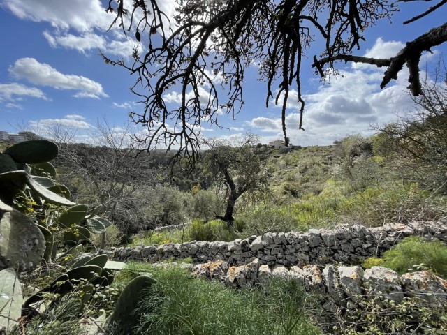 Image No.11-Propriété à vendre à Modica