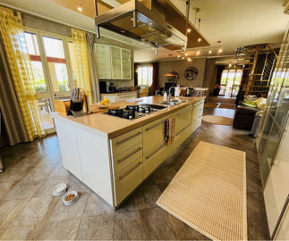 29-alpfaro1001-29png